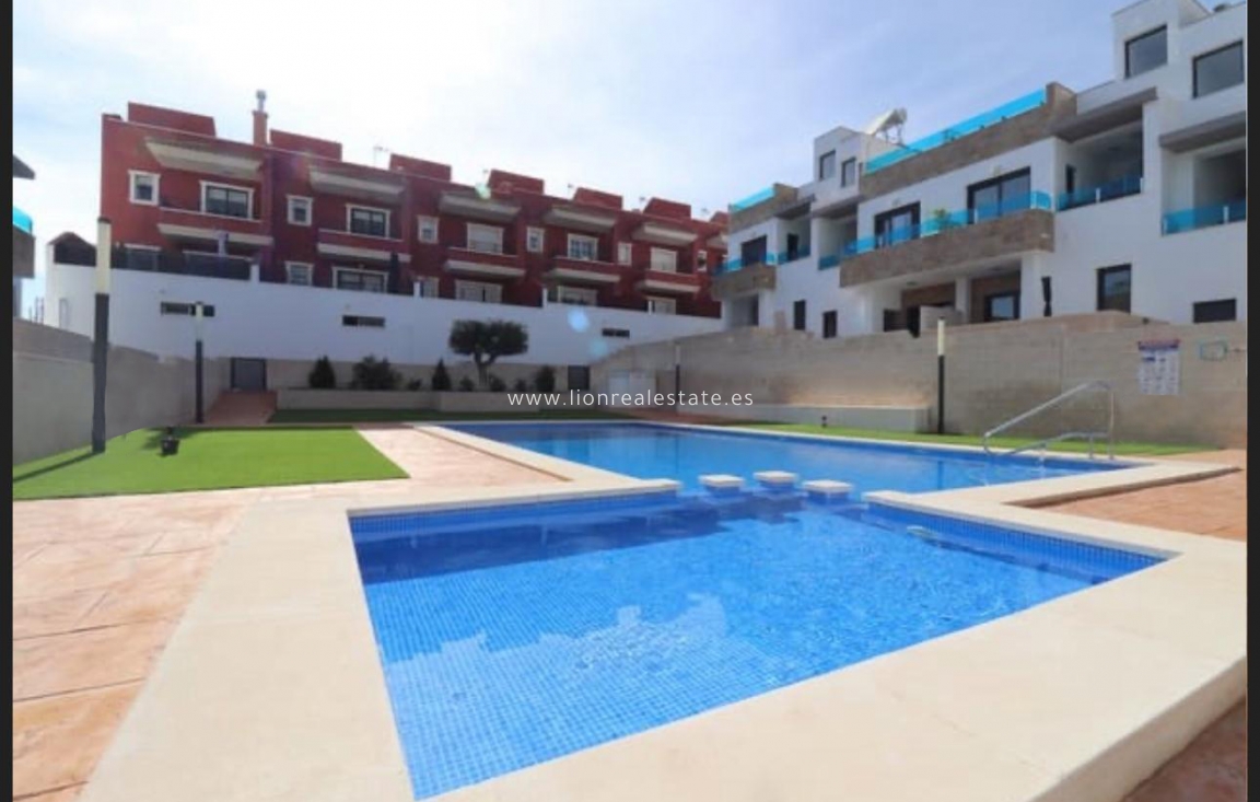 Obra nueva - terraced - Bigastro