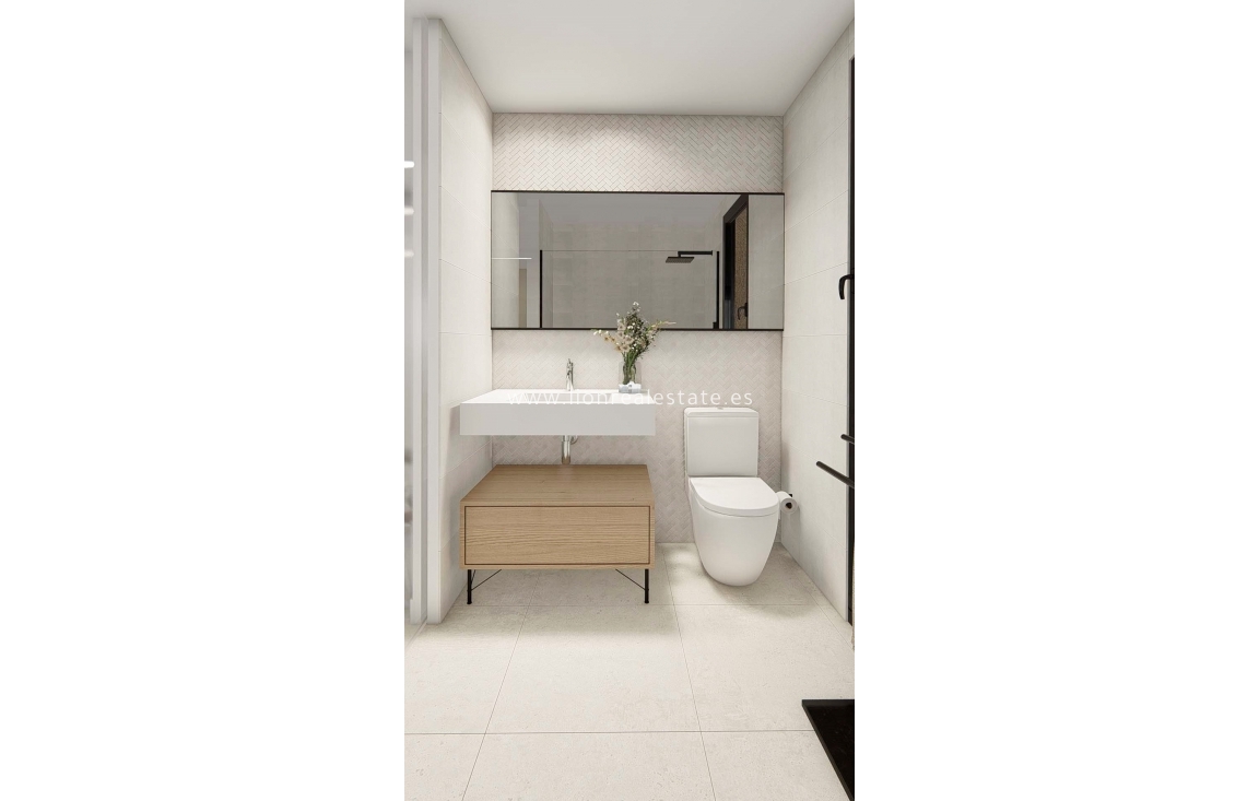 Obra nueva - terraced - Dolores