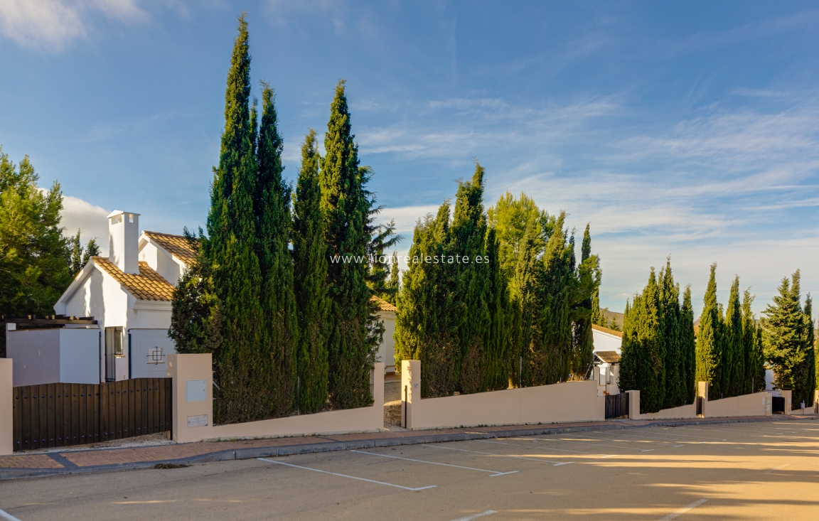 Obra nueva - terraced - Fuente Álamo - Fuente Alamo