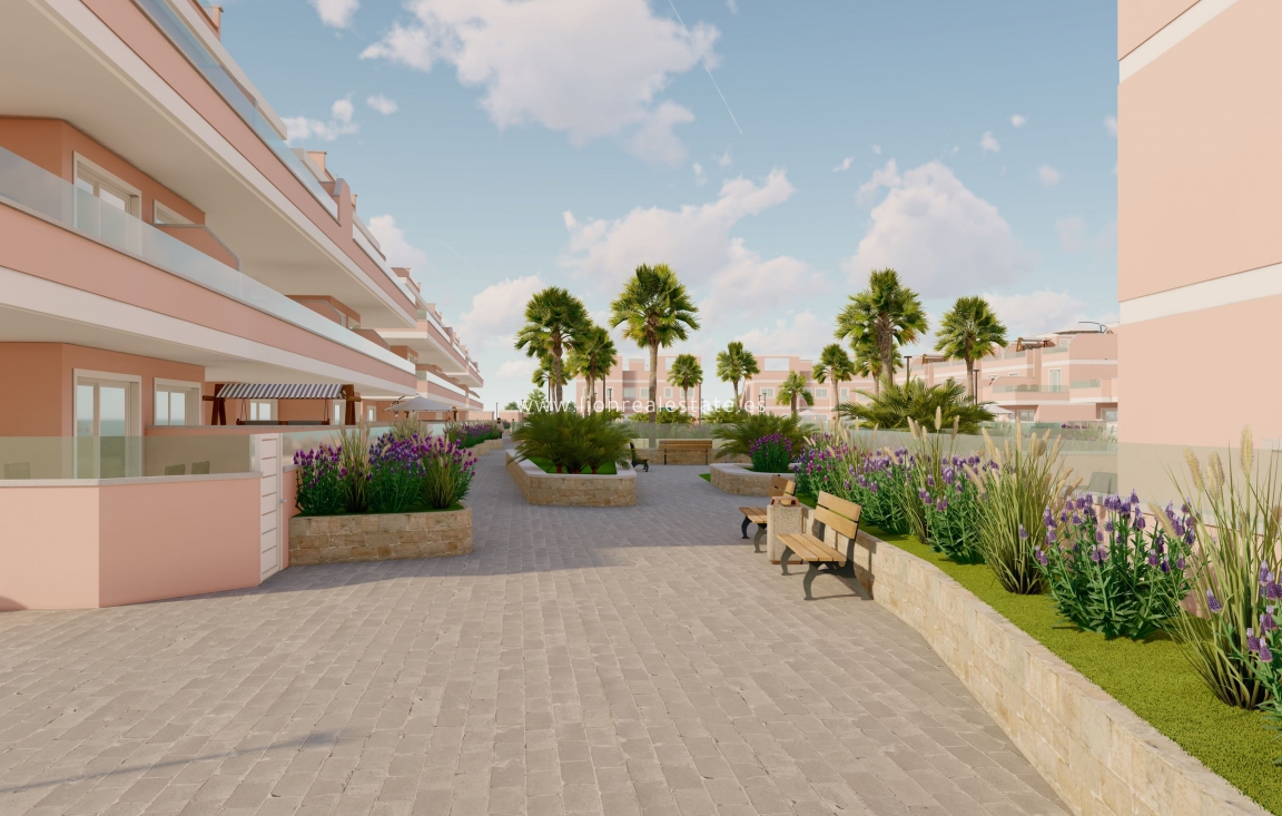 Obra nueva - terraced - Pilar de La Horadada - Pilar de la Horadada