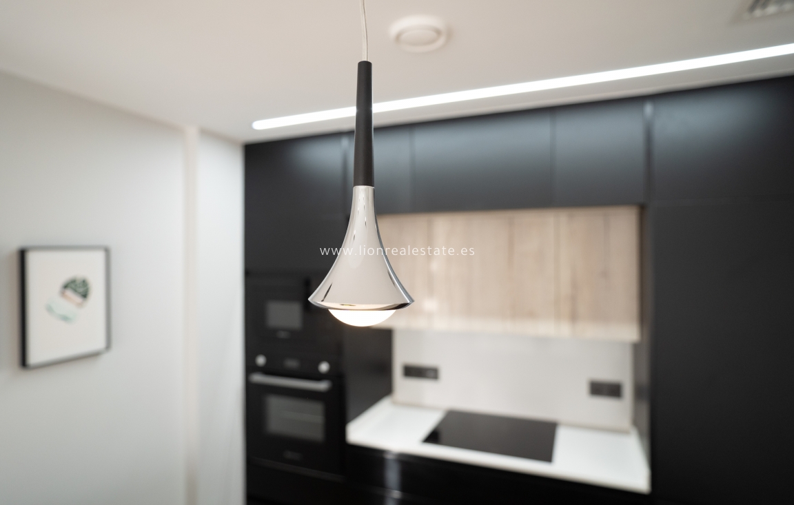 Obra nueva - terraced - Torrevieja