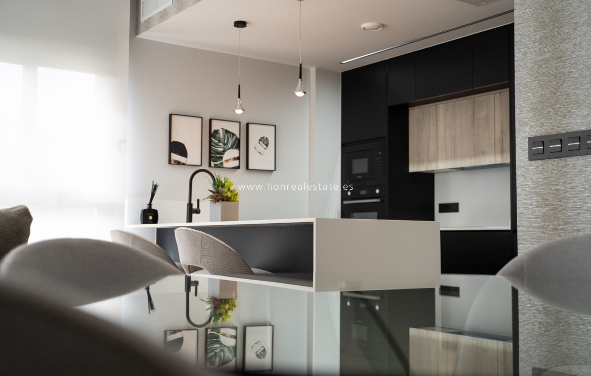 Obra nueva - terraced - Torrevieja