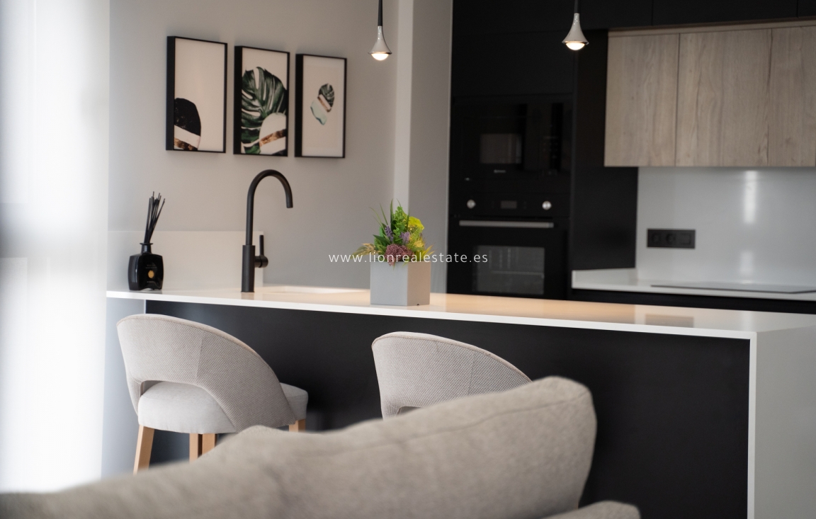 Obra nueva - terraced - Torrevieja