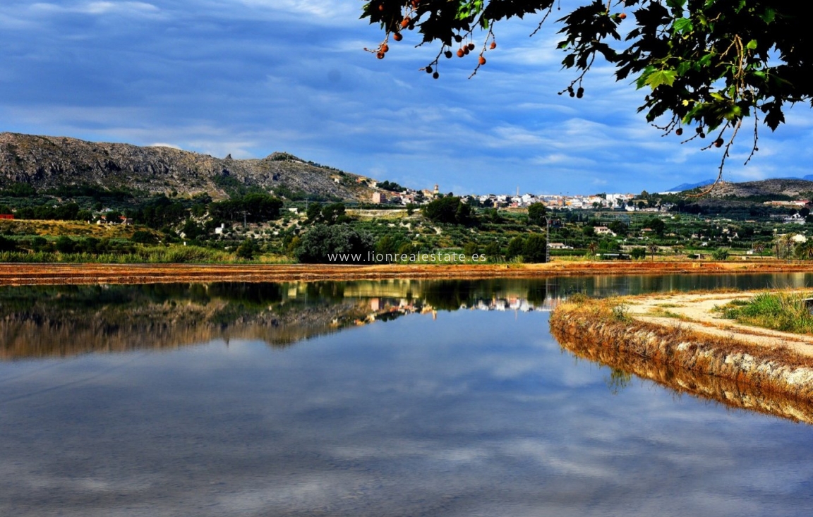 Obra nueva - Villa - Calasparra - Coto Riñales