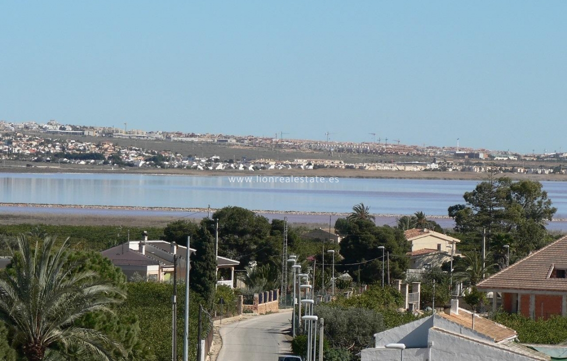 Obra nueva - Villa - Los Montesinos - La Herrada