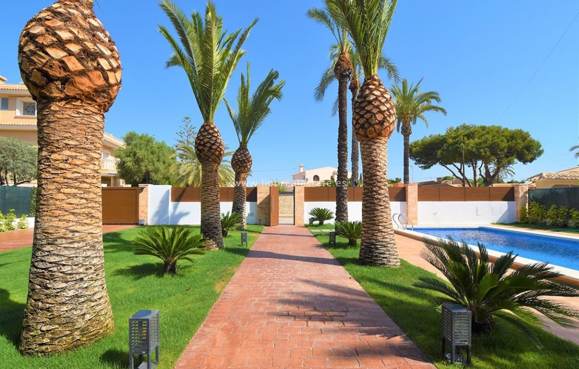 Obra nueva - Villa - Orihuela Costa - Cabo Roig