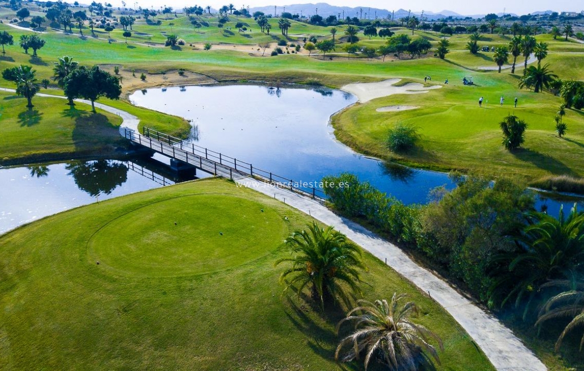 Obra nueva - Villa - Orihuela Costa - Vistabella Golf