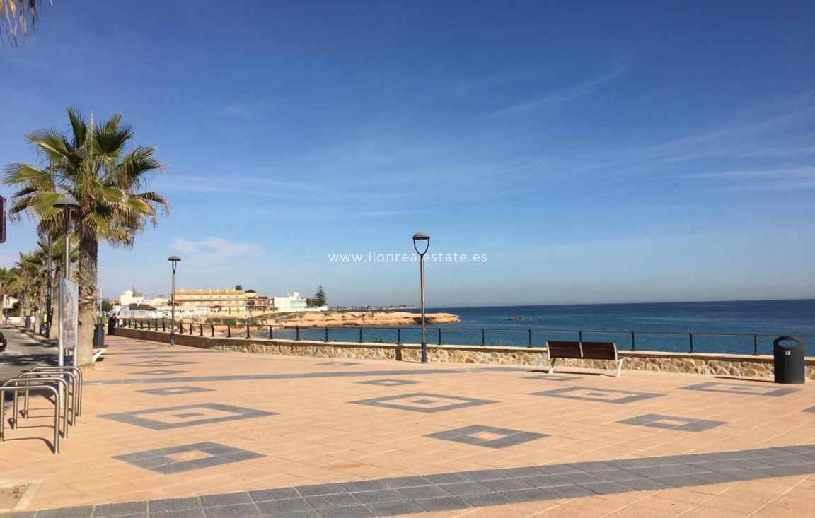 Obra nueva - Villa - Pilar de La Horadada - La Torre De La Horadada