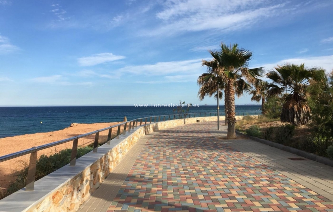 Obra nueva - Villa - Pilar de La Horadada - La Torre De La Horadada