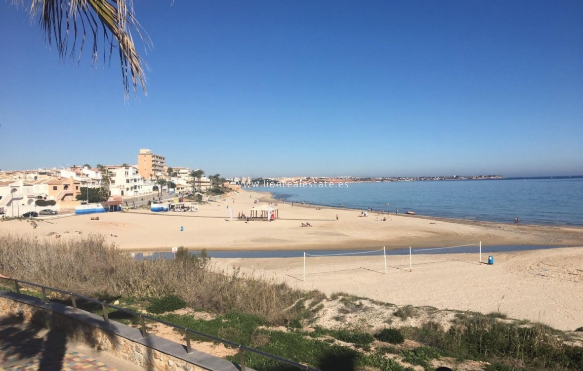 Obra nueva - Villa - Pilar de La Horadada - La Torre De La Horadada