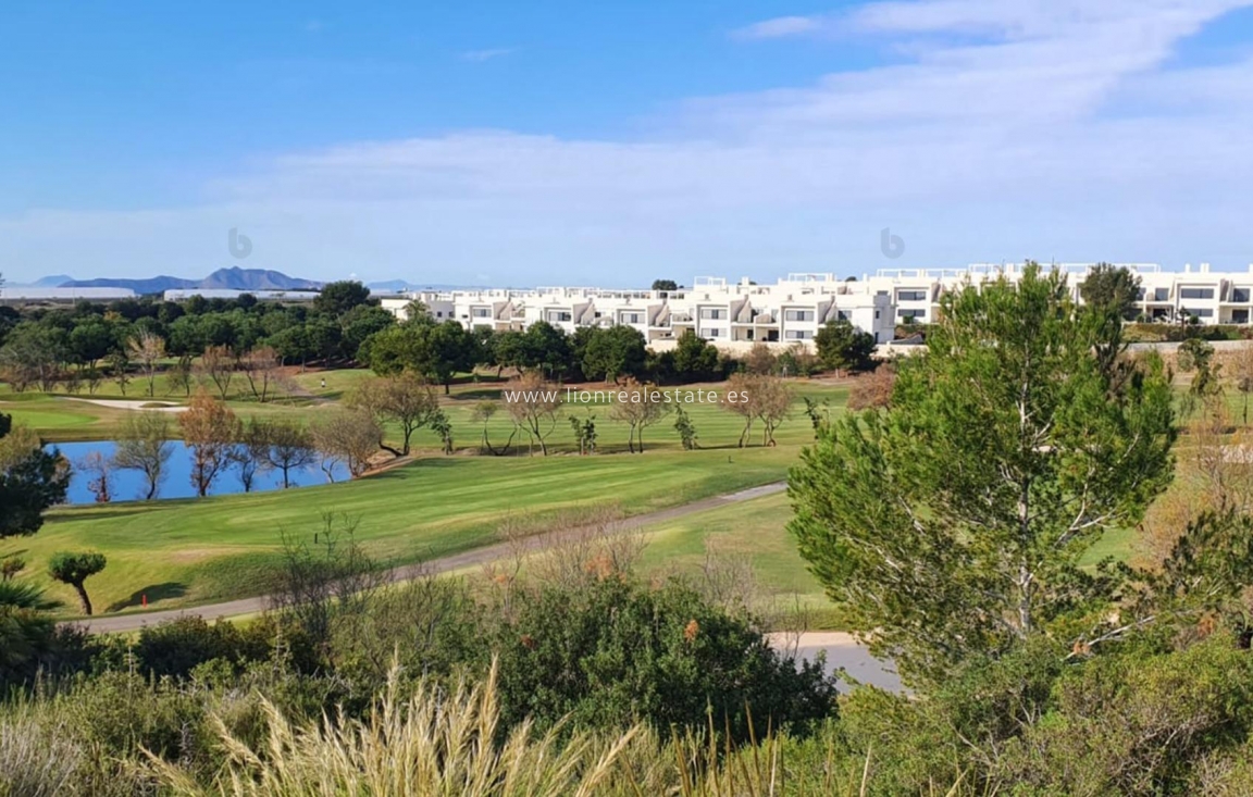 Obra nueva - Villa - Pilar de La Horadada - Lo Romero Golf