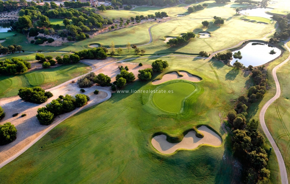 Obra nueva - Villa - Pilar de La Horadada - Lo Romero Golf