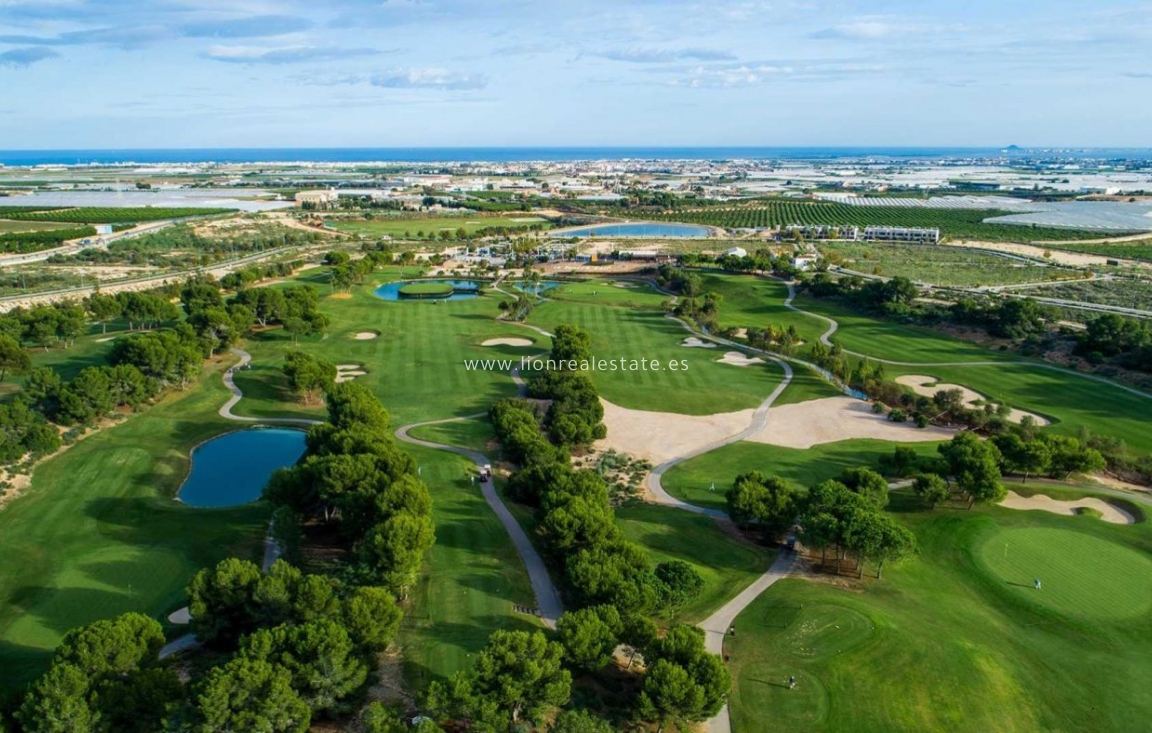 Obra nueva - Villa - Pilar de La Horadada - Lo Romero Golf