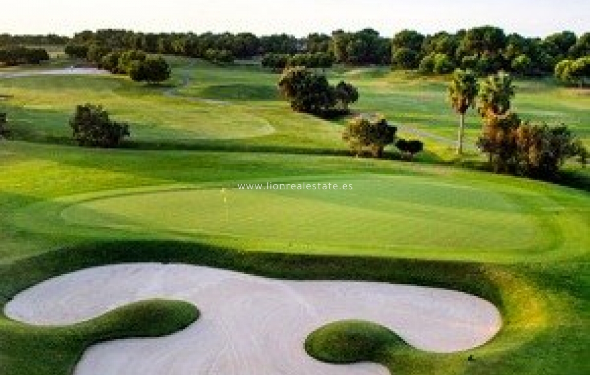 Obra nueva - Villa - Pilar de La Horadada - Lo Romero Golf