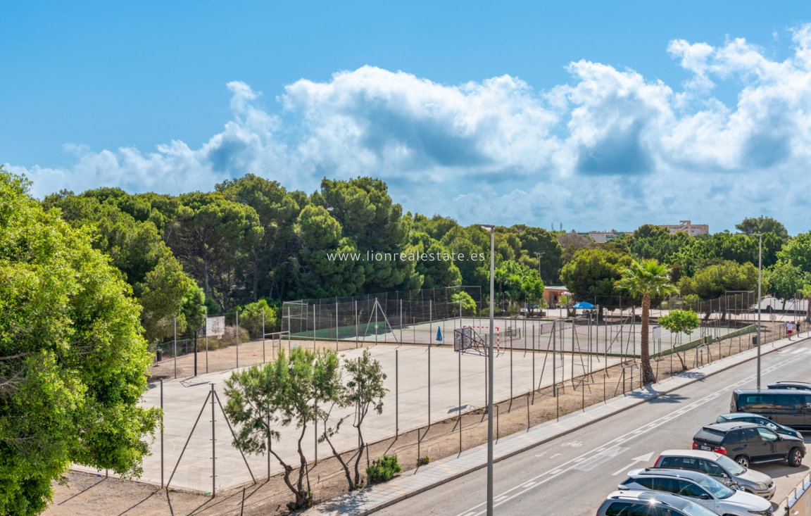 Obra nueva - Villa - Pilar de La Horadada - Pilar de la Horadada