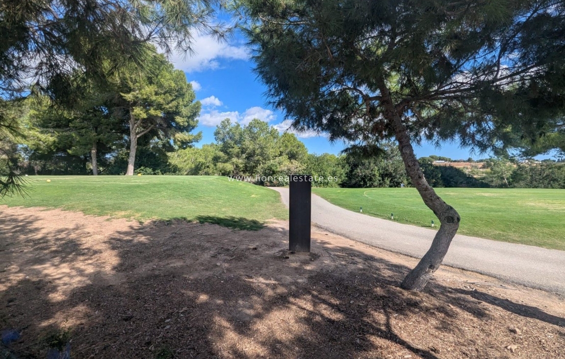 Obra nueva - Villa - Pilar de la Horadada - Pinar de Campoverde