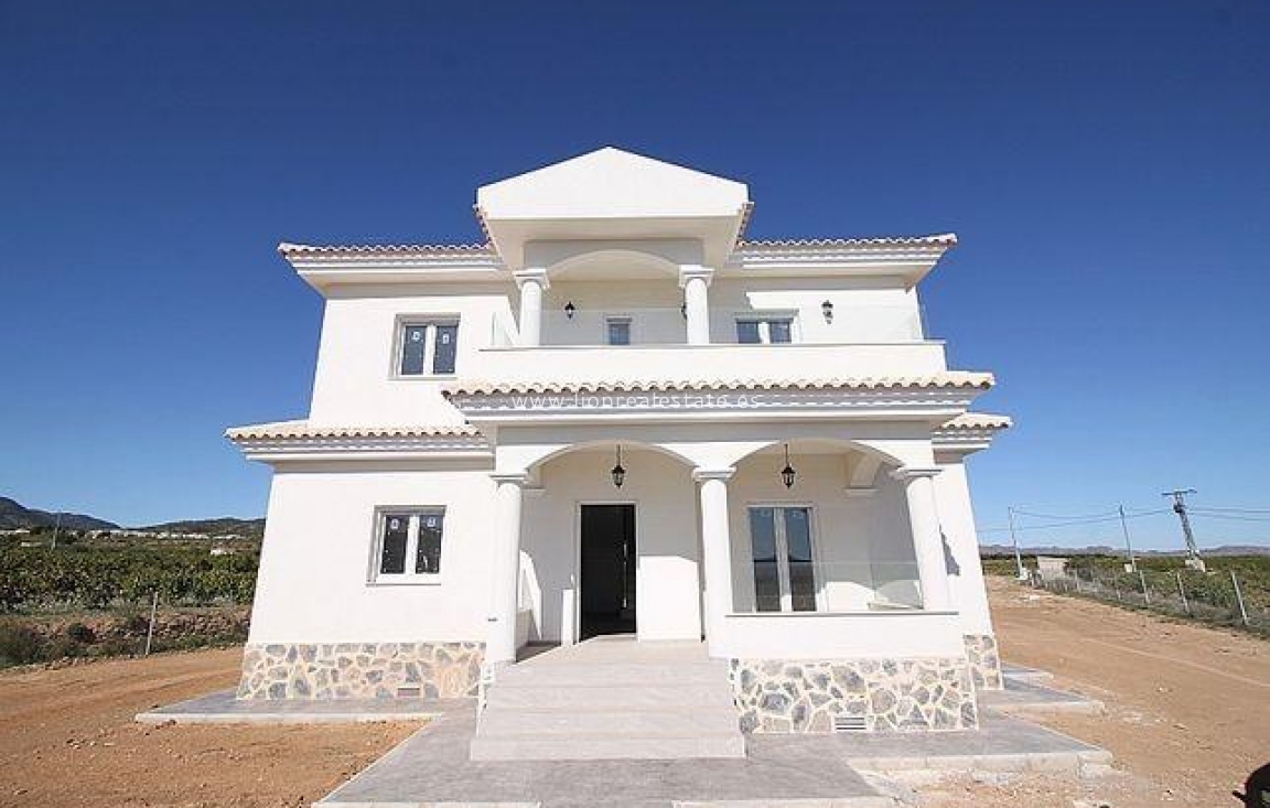 Obra nueva - Villa - Pinoso - Camino Del Prado