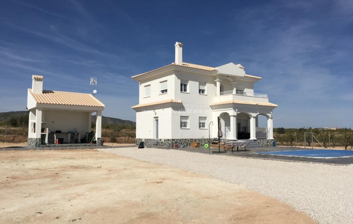 Obra nueva - Villa - Pinoso - Camino Del Prado