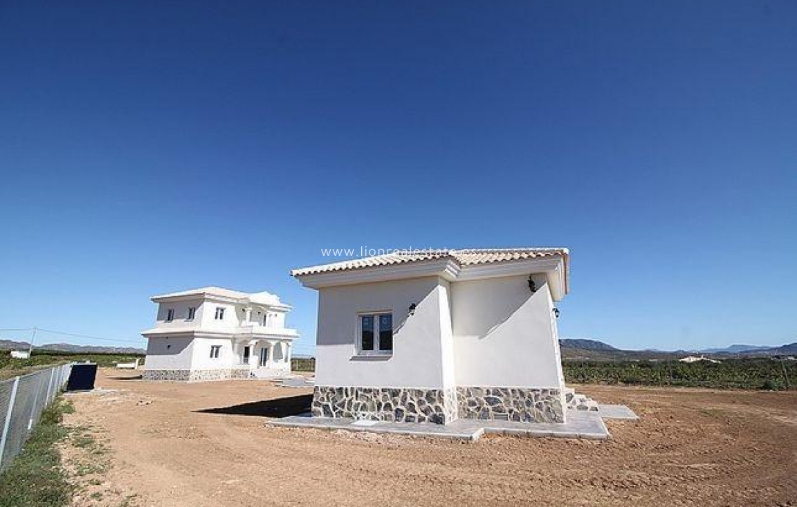 Obra nueva - Villa - Pinoso - Camino Del Prado