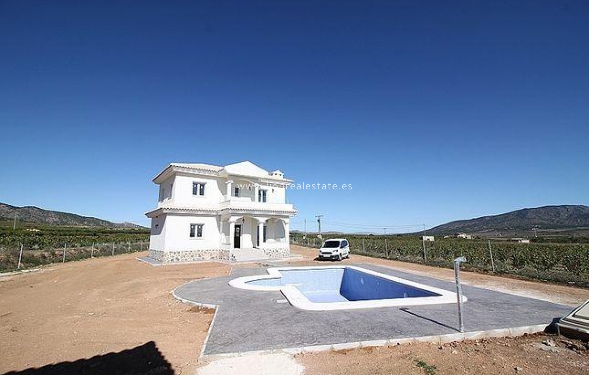 Obra nueva - Villa - Pinoso - Camino Del Prado