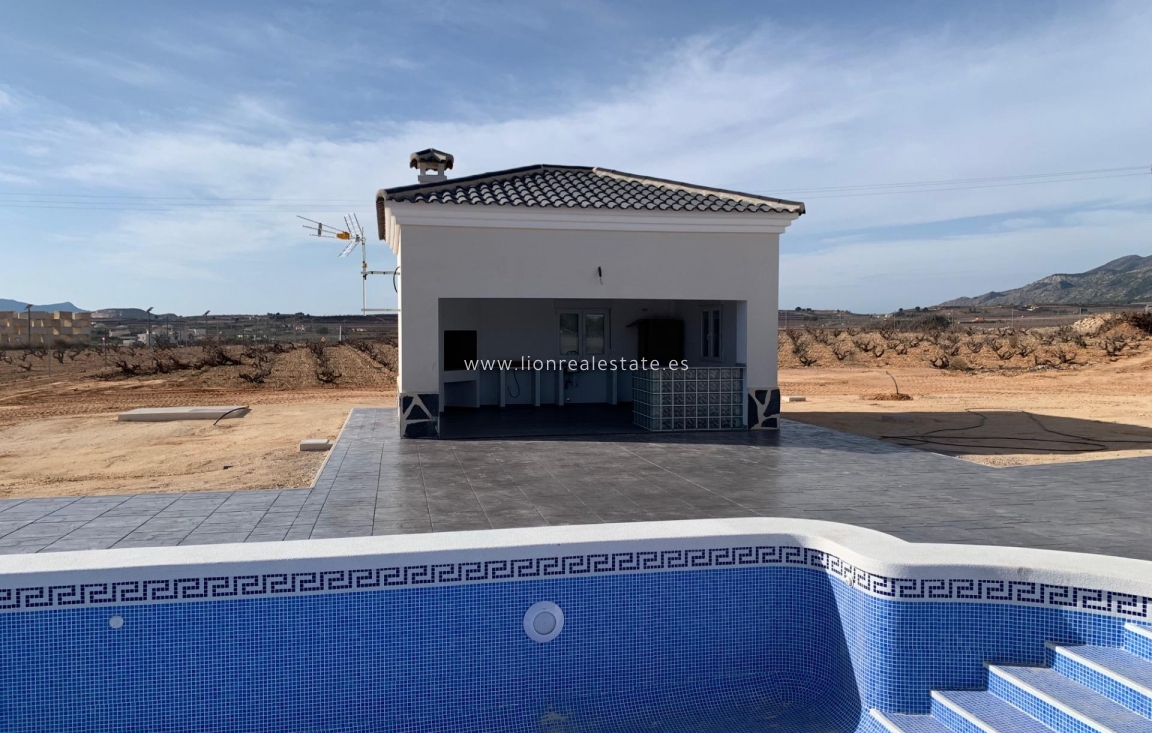 Obra nueva - Villa - Pinoso - Camino Del Prado