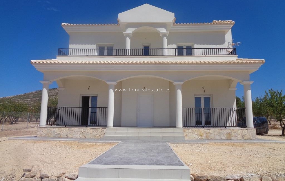 Obra nueva - Villa - Pinoso - Camino Del Prado