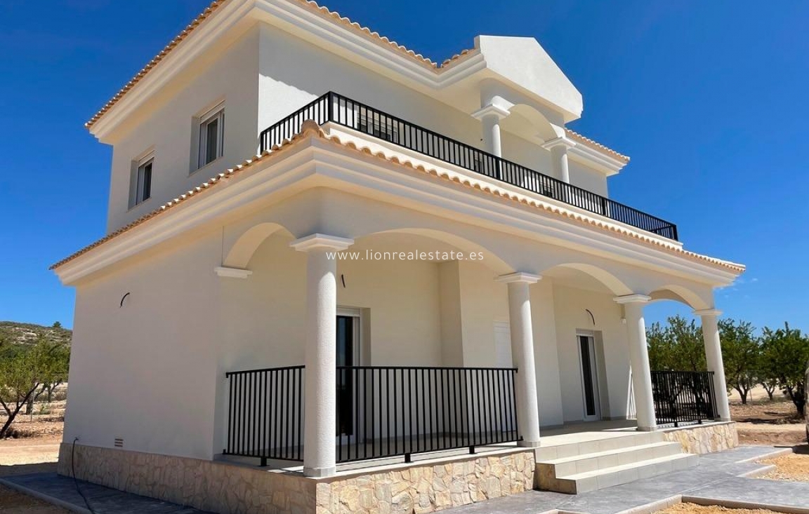 Obra nueva - Villa - Pinoso - Camino Del Prado