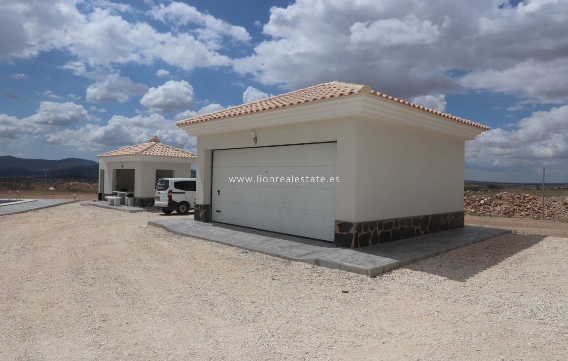 Obra nueva - Villa - Pinoso - Camino Del Prado