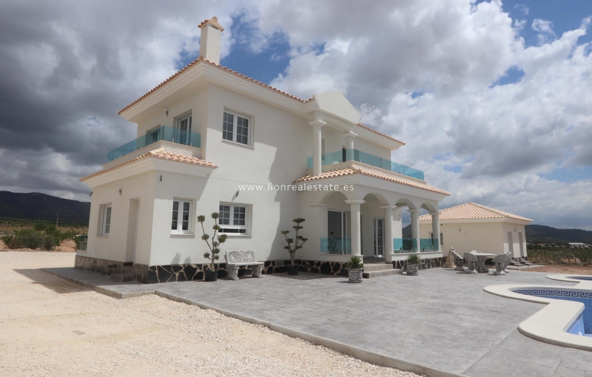 Obra nueva - Villa - Pinoso - Camino Del Prado