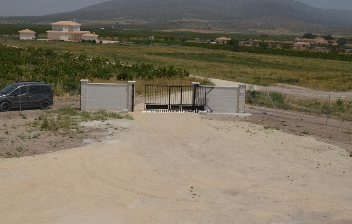 Obra nueva - Villa - Pinoso - Camino Del Prado