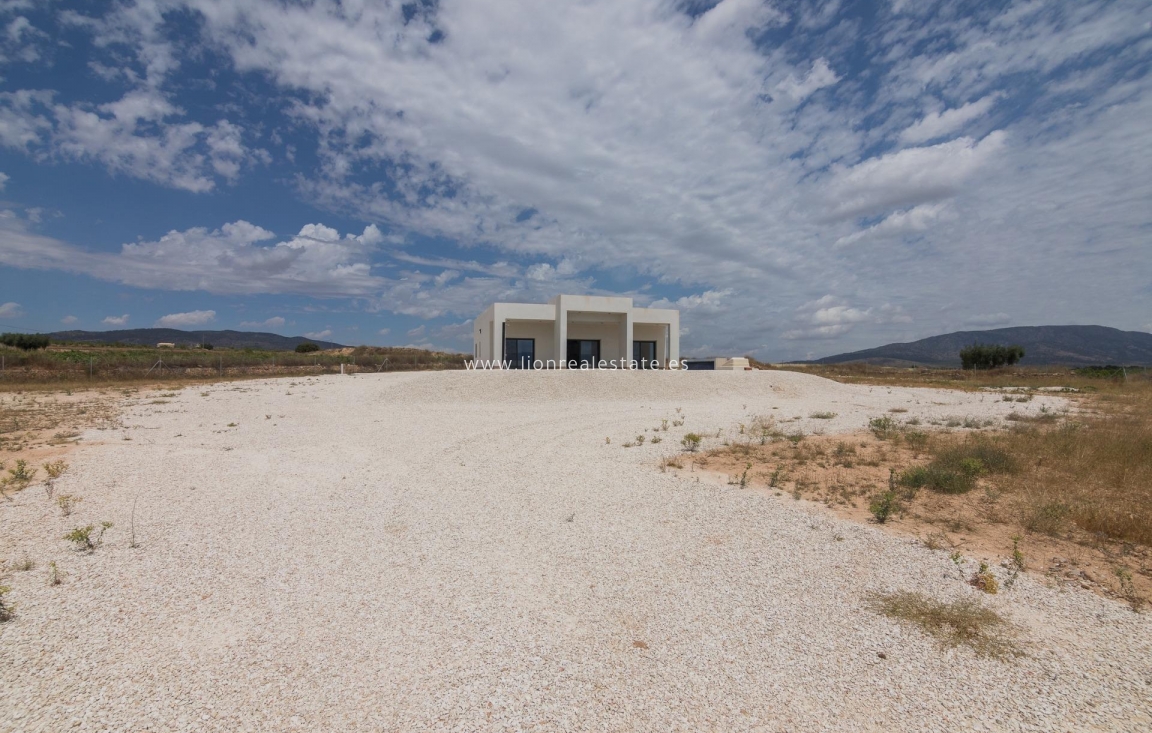 Obra nueva - Villa - Pinoso - Campo