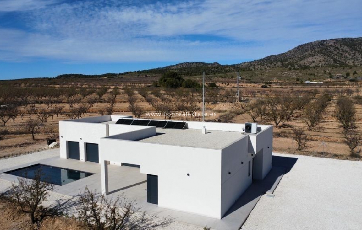 Obra nueva - Villa - Pinoso - Campo