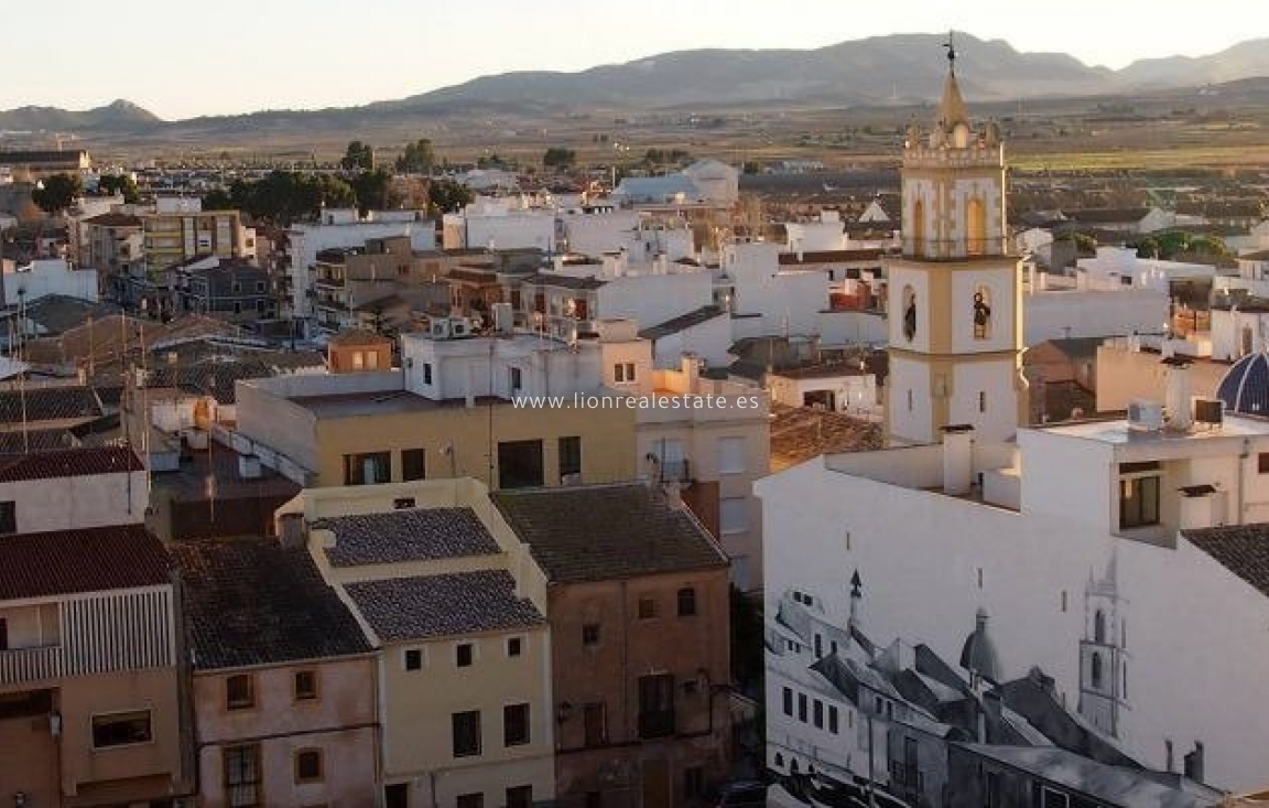 Obra nueva - Villa - Pinoso - Culebron