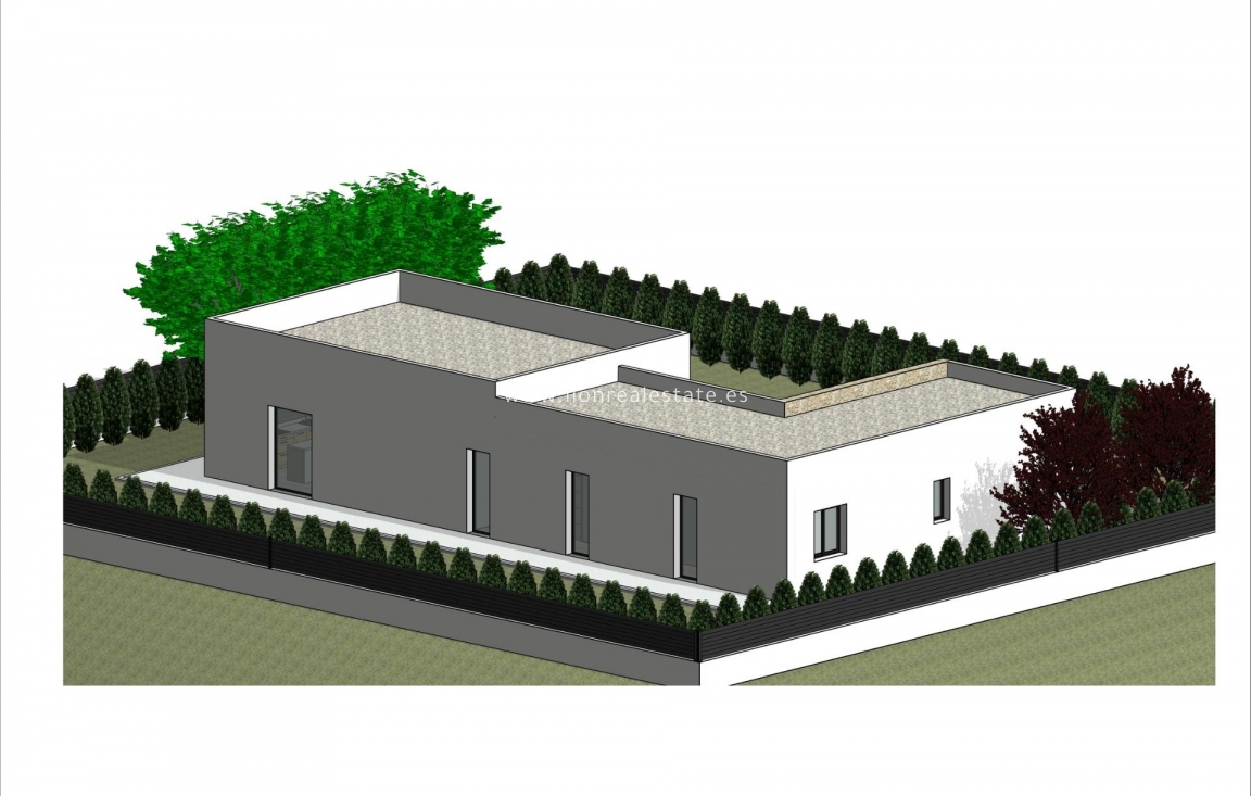 Obra nueva - Villa - Pinoso - Lel