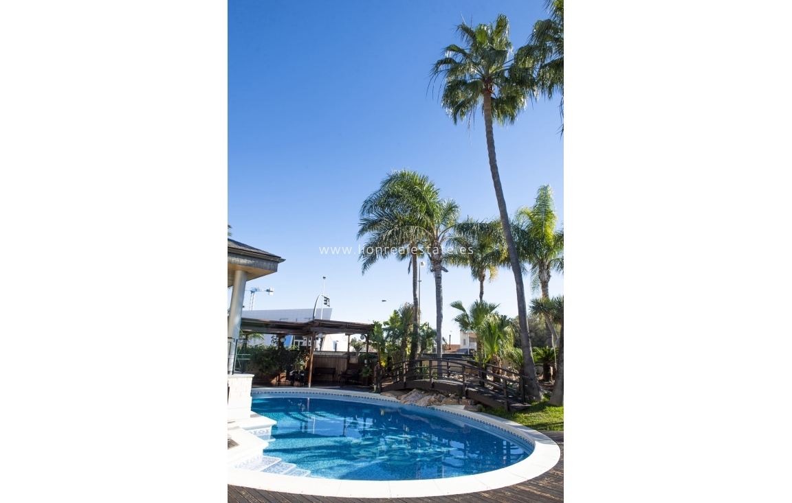 Obra nueva - Villa - San Pedro del Pinatar - San Pedro Del Pinatar