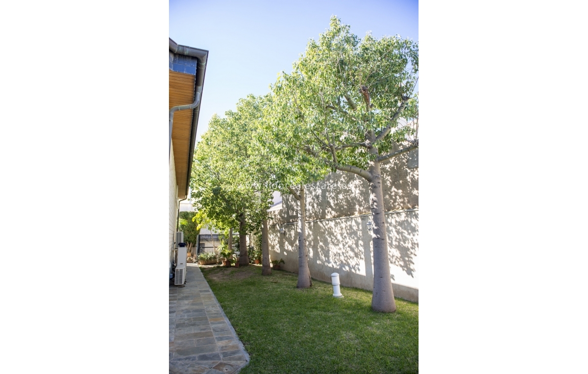 Obra nueva - Villa - San Pedro del Pinatar - San Pedro Del Pinatar