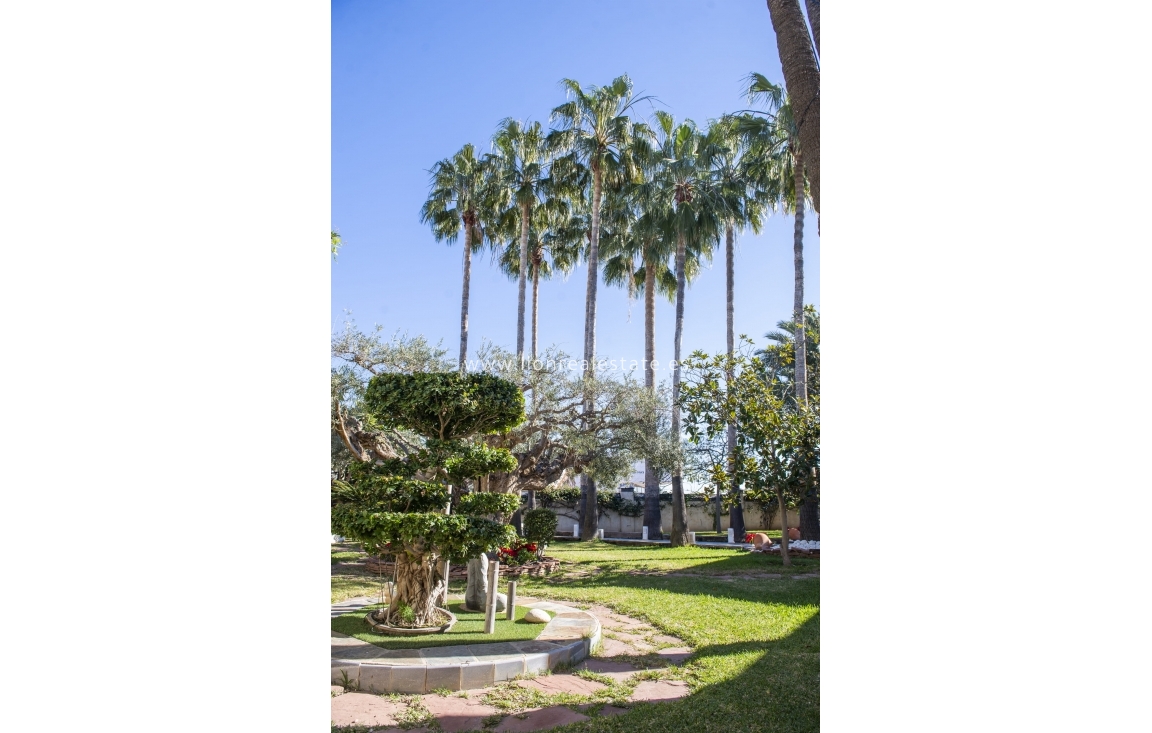 Obra nueva - Villa - San Pedro del Pinatar - San Pedro Del Pinatar