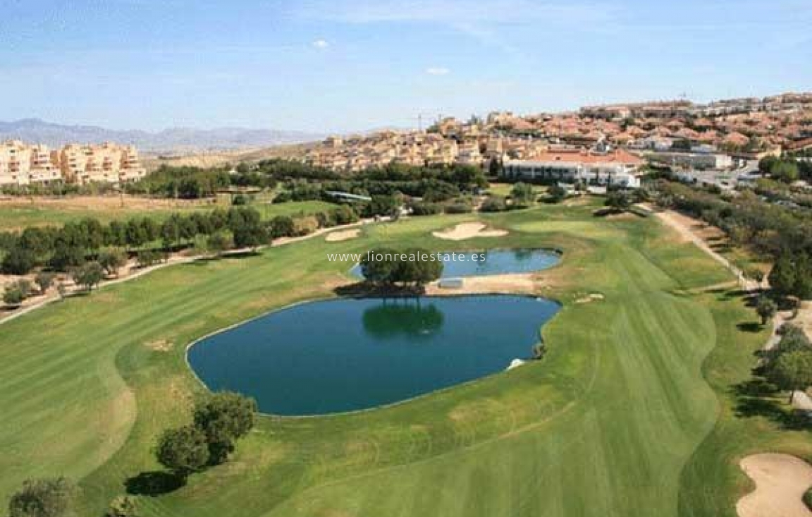 Obra nueva - Villa - Torre Pacheco - Roldán