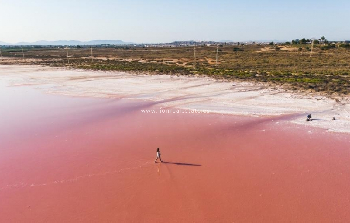 Obra nueva - Villa - Torrevieja - Aguas Nuevas