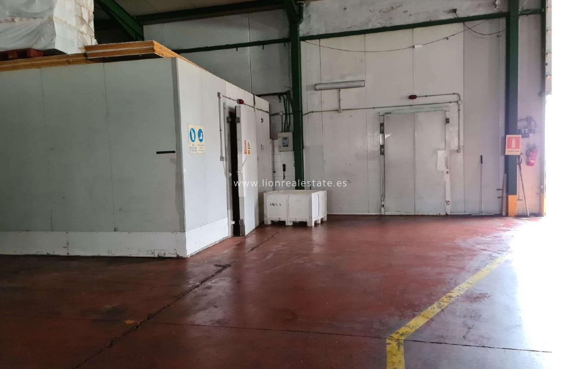 Odsprzedaż - Industrial unit - Torrevieja - Polígono Industrial Casa Grande