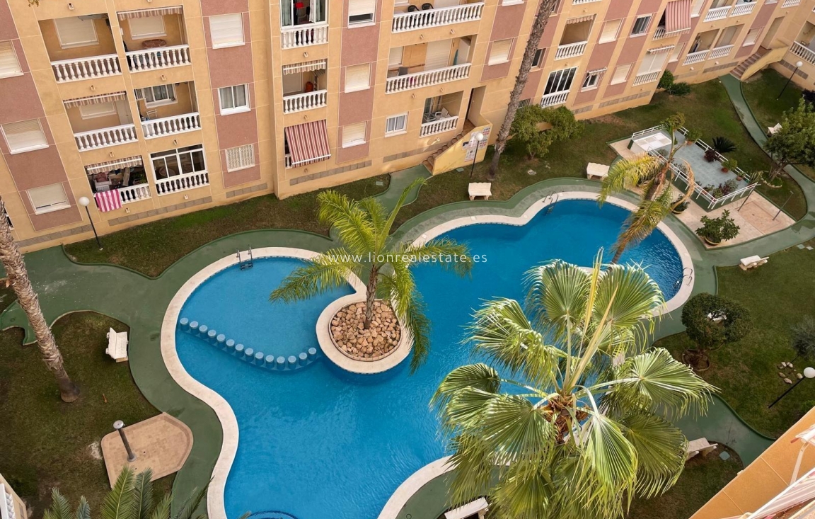 Odsprzedaż - Mieszkanie w bloku - Torrevieja - Centro