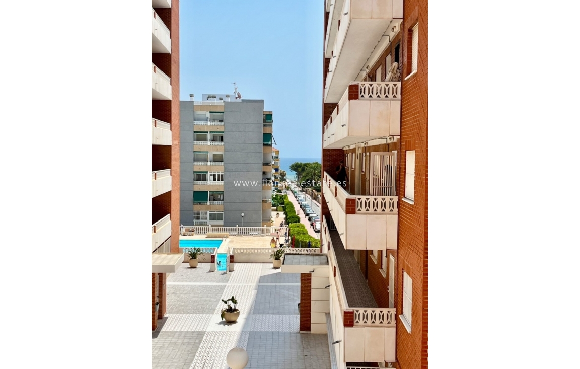 Odsprzedaż - Mieszkanie w bloku - Torrevieja - Punta Prima