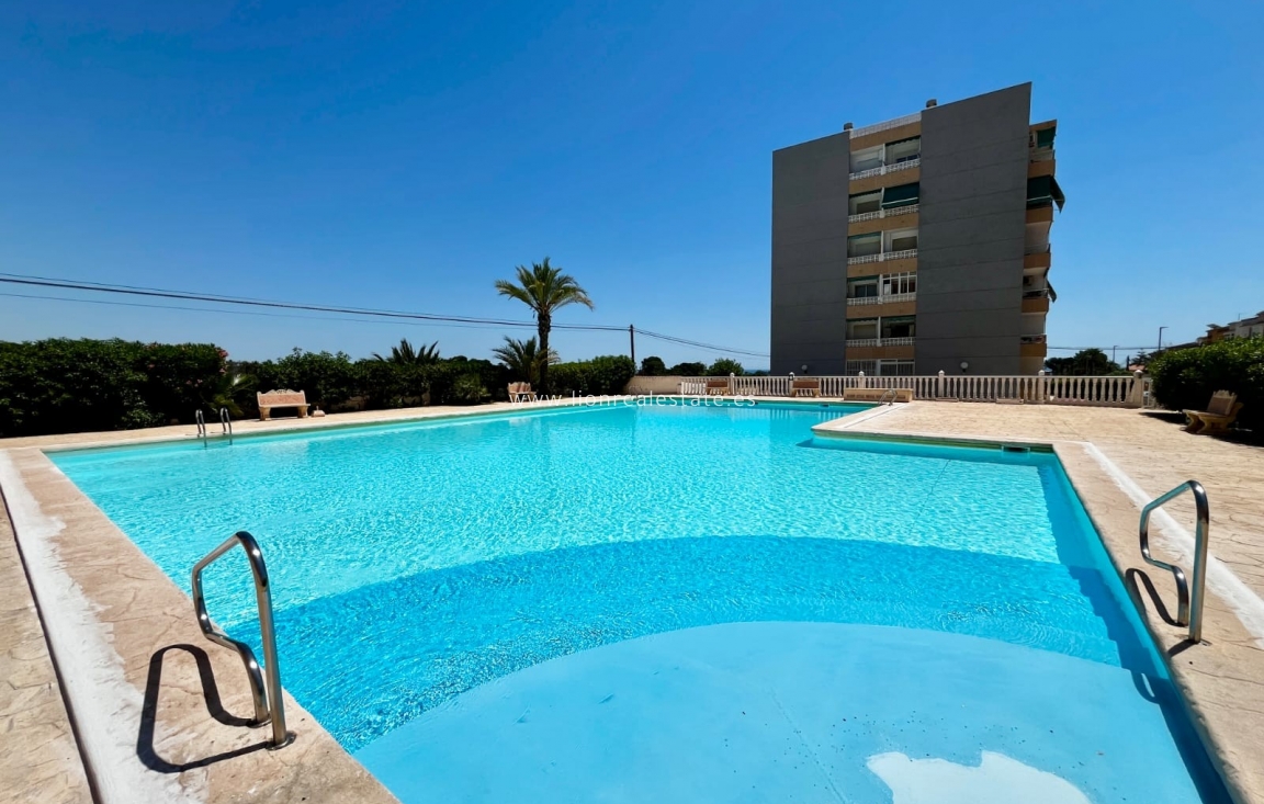 Odsprzedaż - Mieszkanie w bloku - Torrevieja - Punta Prima