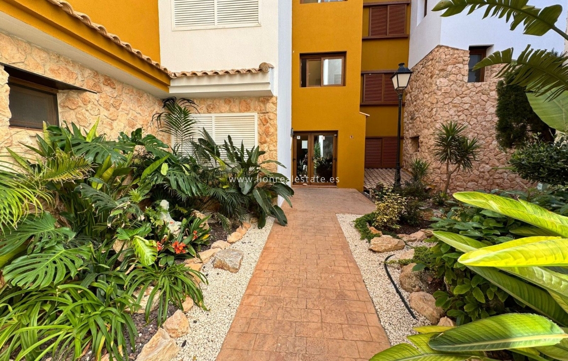 Odsprzedaż - Mieszkanie w bloku - Torrevieja - Punta Prima