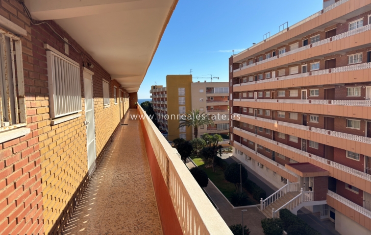 Odsprzedaż - Mieszkanie w bloku - Torrevieja - Punta Prima