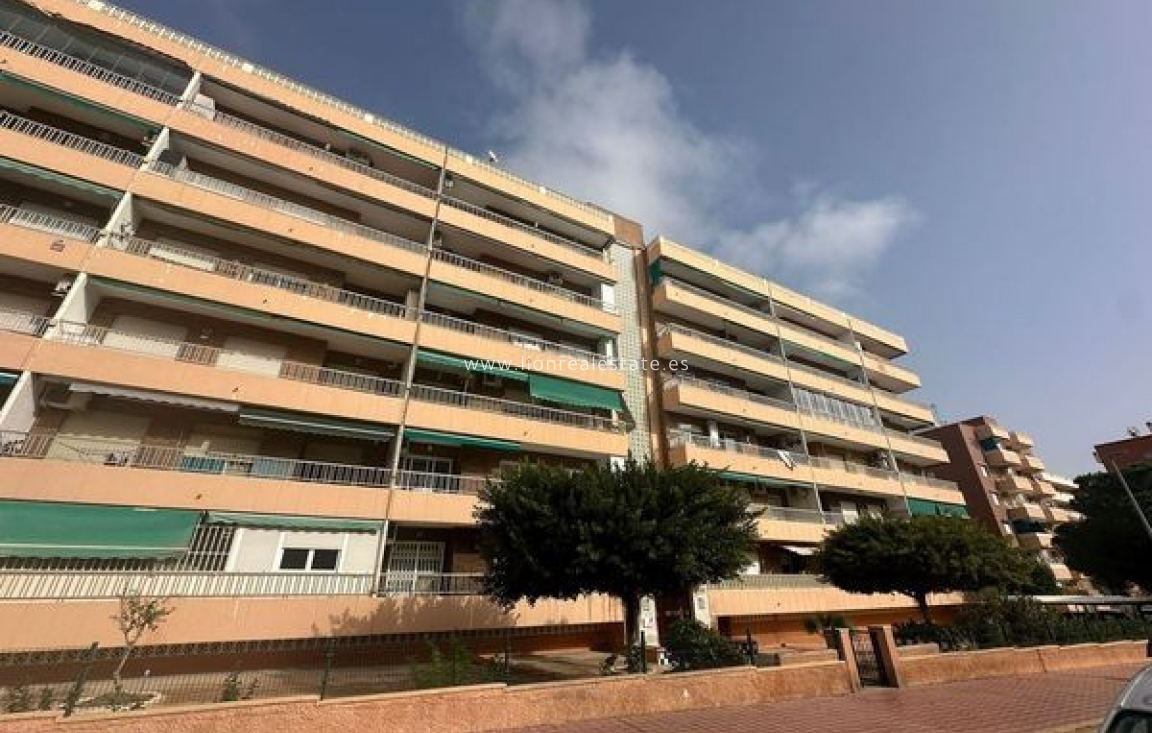 Odsprzedaż - Mieszkanie w bloku - Torrevieja - Punta Prima