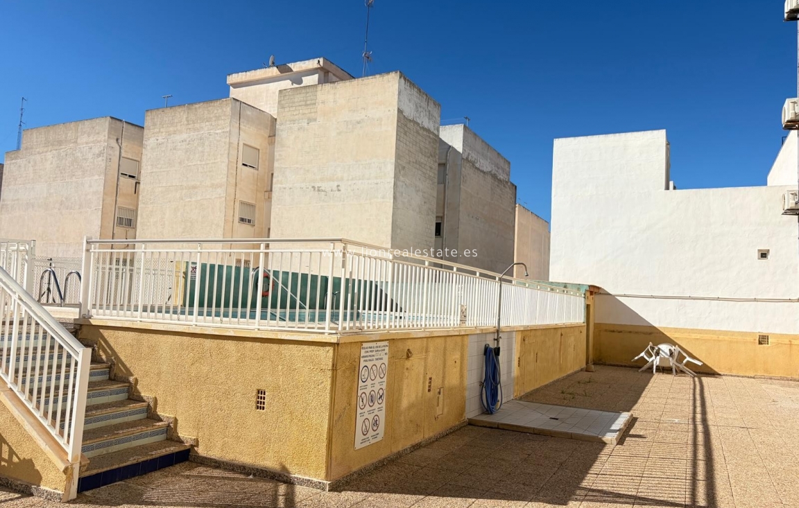 Odsprzedaż - Nauka - Torrevieja - Centro