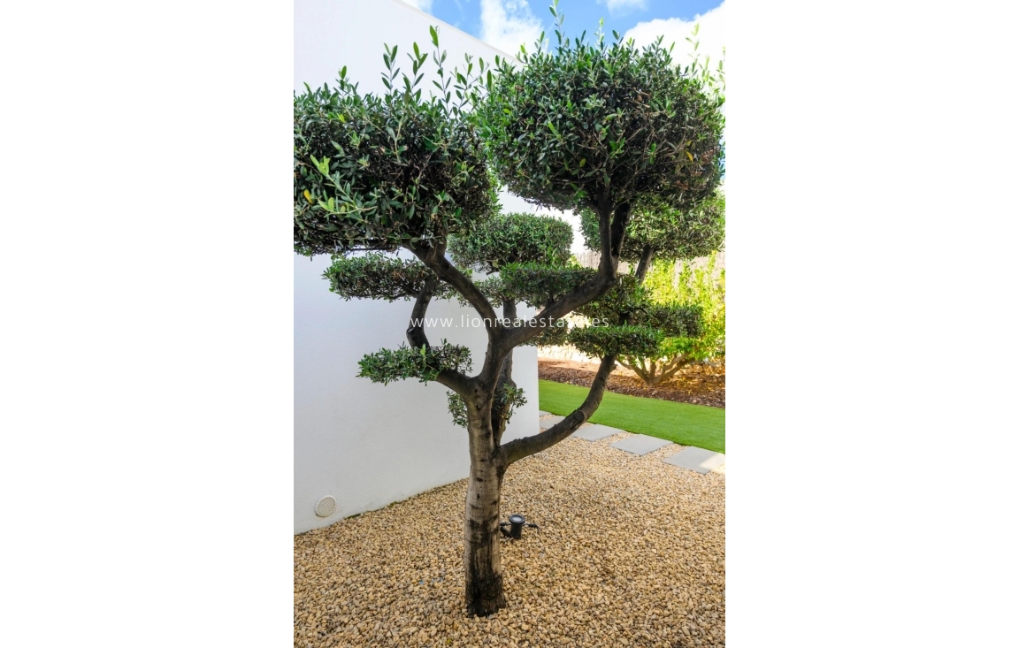 Odsprzedaż - Villa - Orihuela Costa - Las Colinas Golf