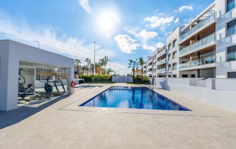 Penthouse - New Build - Torrevieja - Torrevieja