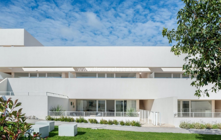 Penthouse - New Build - Torrevieja - Torrevieja